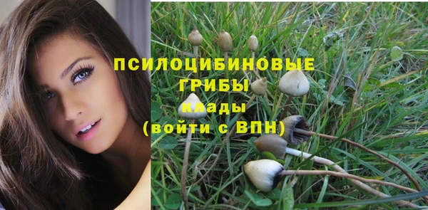 метадон Алексеевка