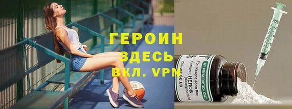 индика Алексин