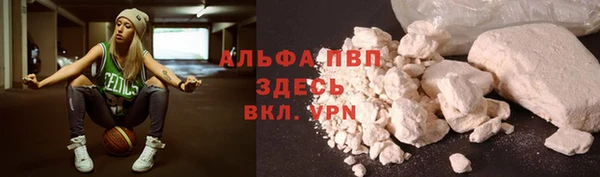 индика Алексин