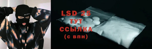 индика Алексин