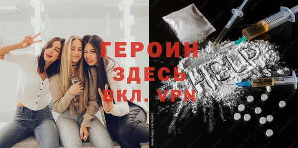 индика Алексин