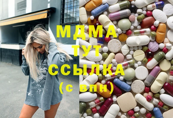 индика Алексин