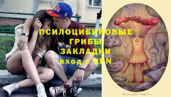 метадон Алексеевка