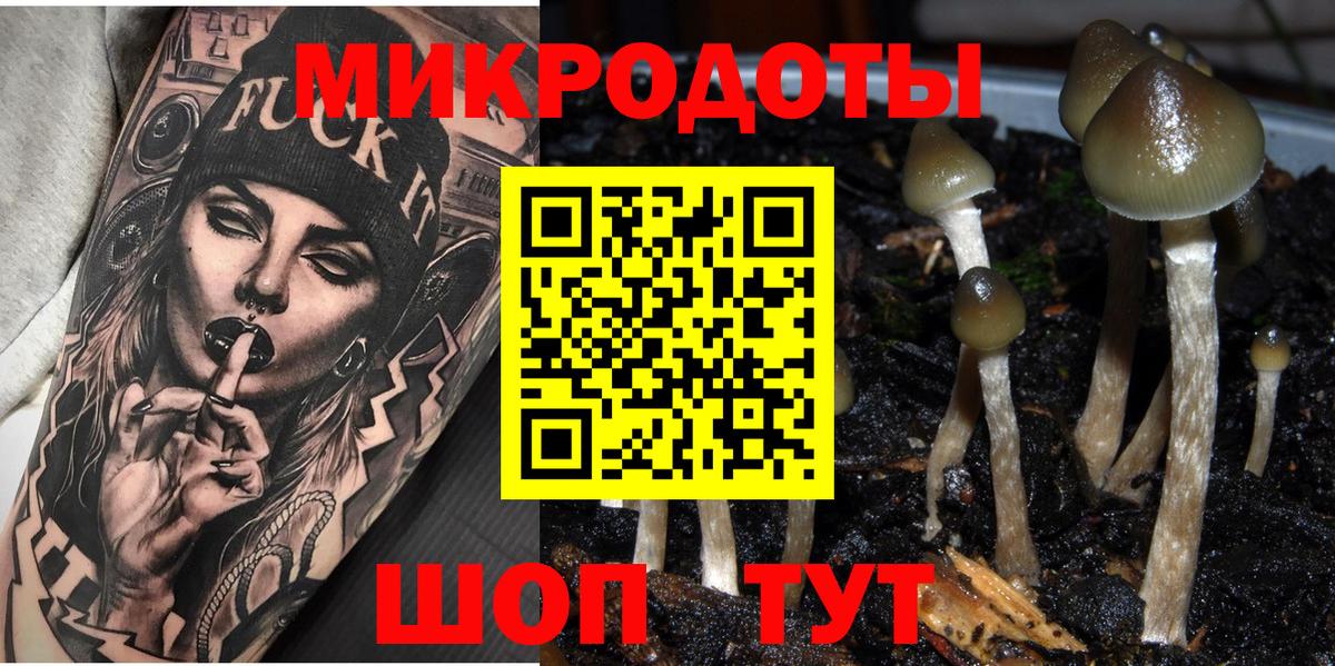 Галлюциногенные грибы GOLDEN TEACHER  Вход с VPN  Чебоксары  Галлюциногенные грибы прущие грибы 